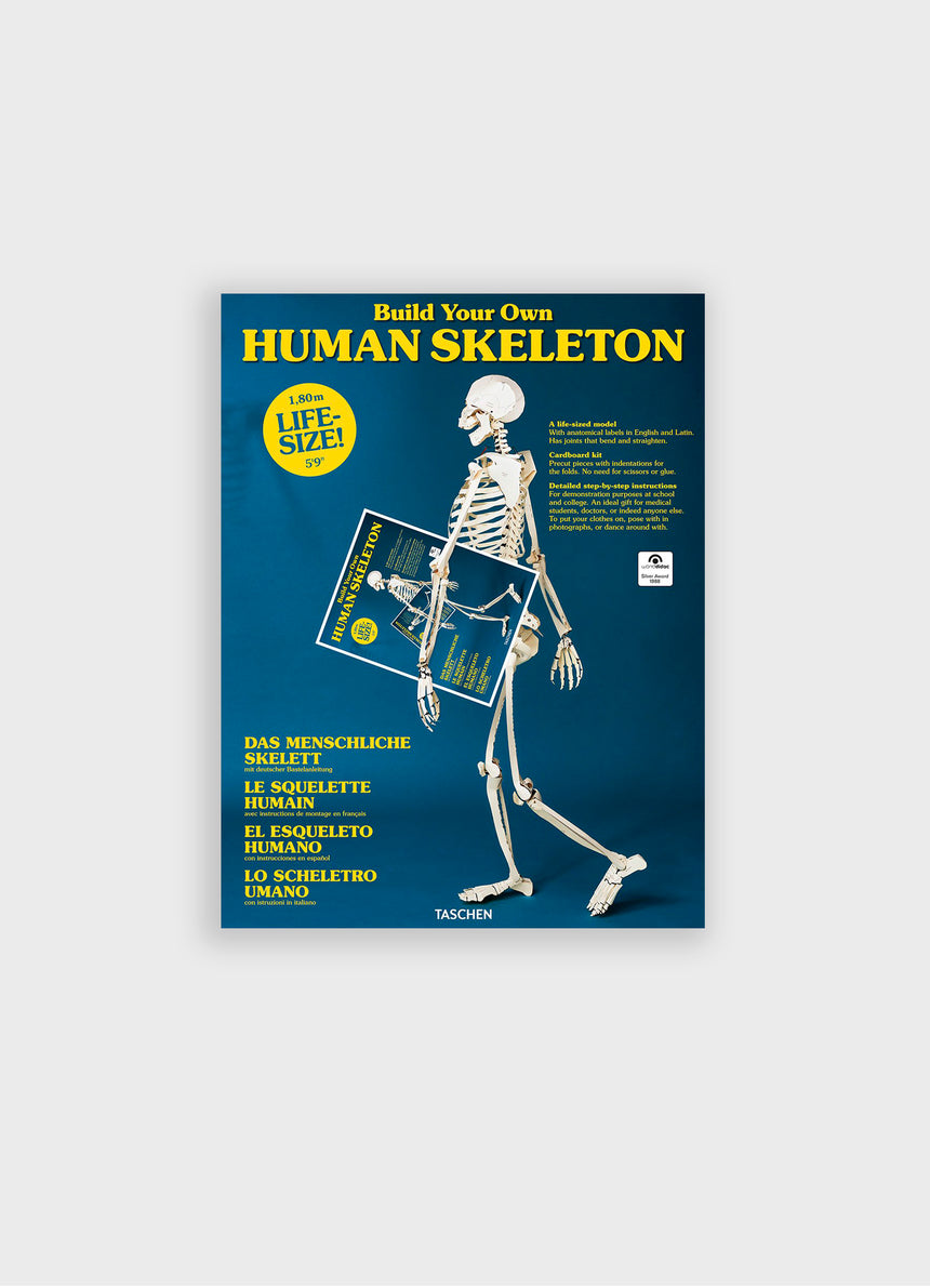 BUILT YOUR OWN HUMAN SKELETON: LIFE SIZE!