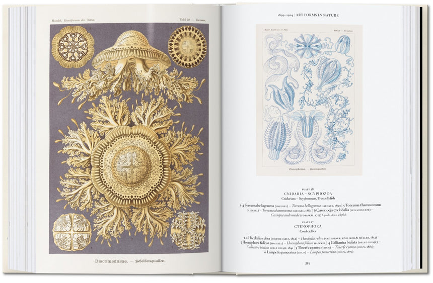 The Art and Science of Ernst Haeckel. 40th Anniversary Edition
